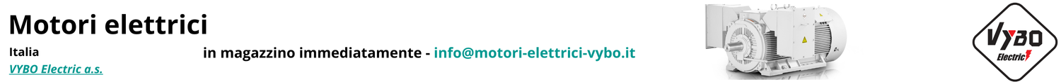 Motori elettrici VYBO Electric